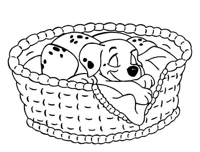 Coloriage a imprimer les 101 dalmatiens le chiot dort dans son panier